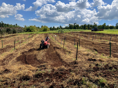 UFFS - Campus Laranjeiras do Sul integra projeto de pesquisa sobre sistemas de plantio direto orgânico